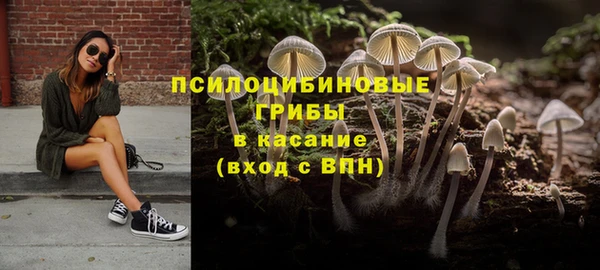 гидропоника Алзамай