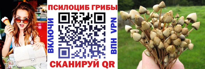 Галлюциногенные грибы Magic Shrooms  Купить  Уфа 